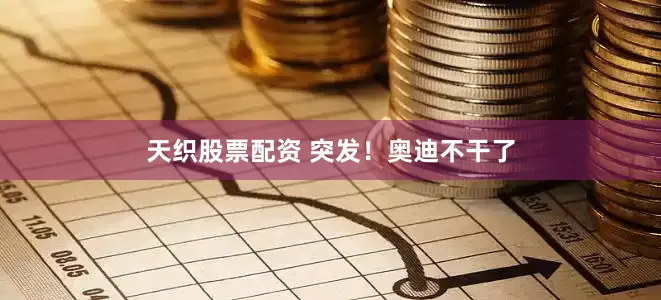 天织股票配资 突发！奥迪不干了