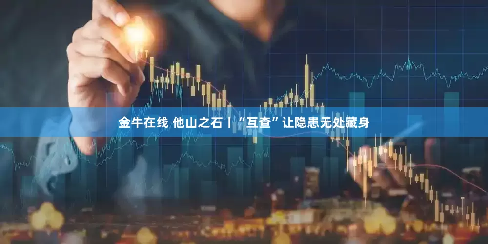 金牛在线 他山之石丨“互查”让隐患无处藏身