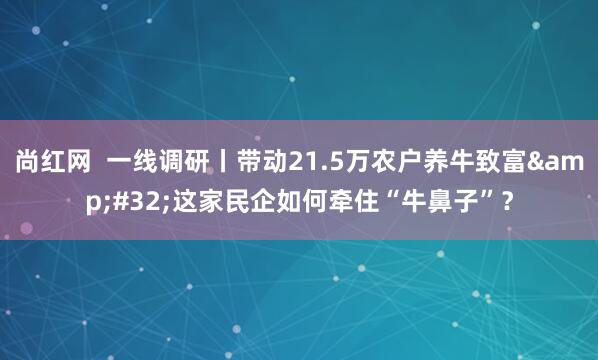 尚红网  一线调研丨带动21.5万农户养牛致富&#32;这家民企如何牵住“牛鼻子”？