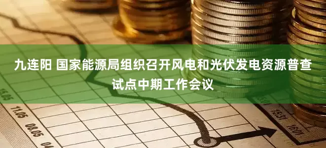 九连阳 国家能源局组织召开风电和光伏发电资源普查试点中期工作会议