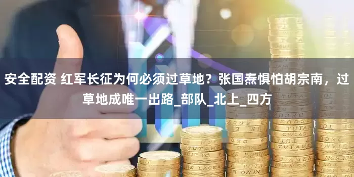 安全配资 红军长征为何必须过草地？张国焘惧怕胡宗南，过草地成唯一出路_部队_北上_四方