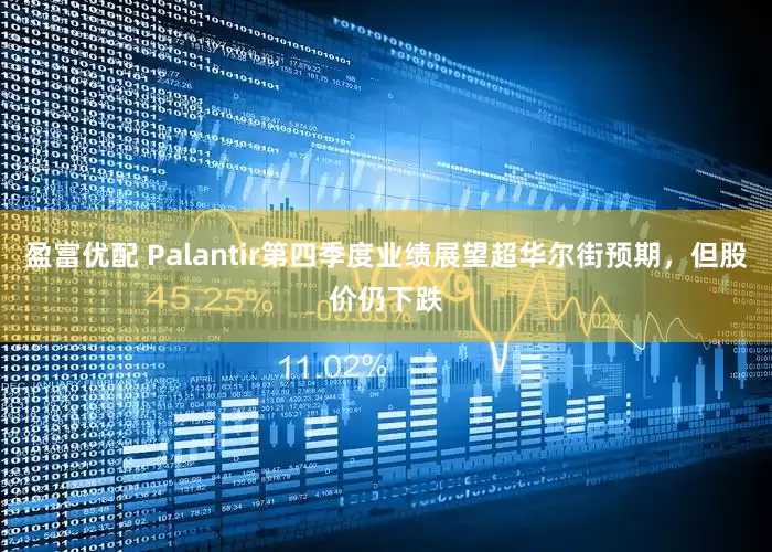 盈富优配 Palantir第四季度业绩展望超华尔街预期，但股价仍下跌