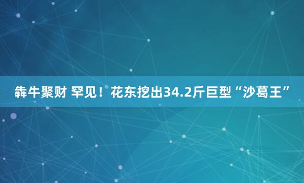 犇牛聚财 罕见！花东挖出34.2斤巨型“沙葛王”